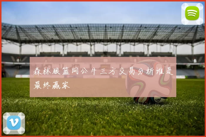 森林狼篮网公牛三方交易分析谁是最终赢家